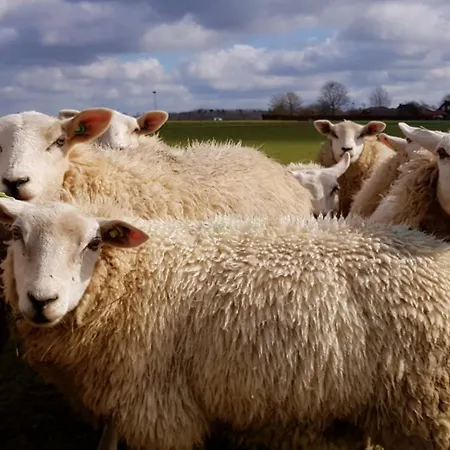 Rozenhofje Asselt - Roermond Holiday home Swalmen
