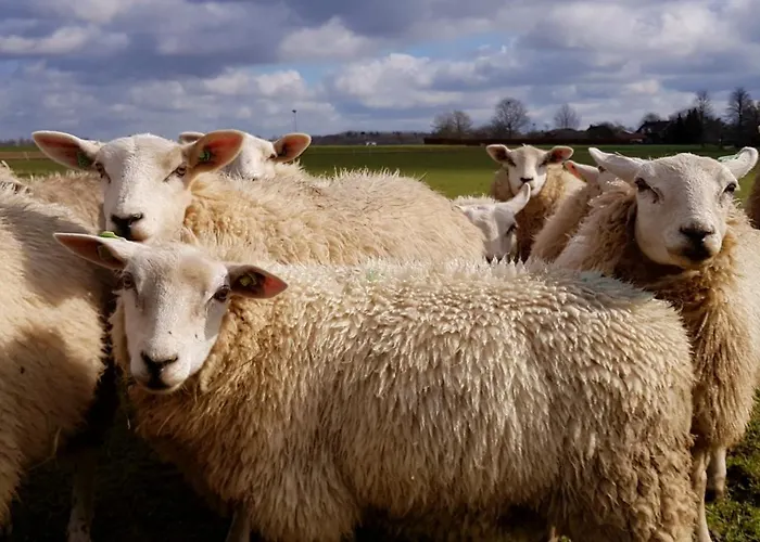 Rozenhofje Asselt - Roermond Σπίτι διακοπών Swalmen