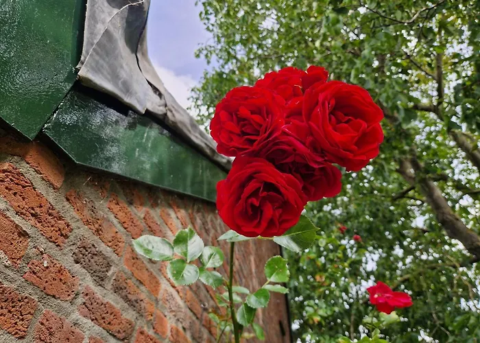 Σπίτι διακοπών Rozenhofje Asselt - Roermond