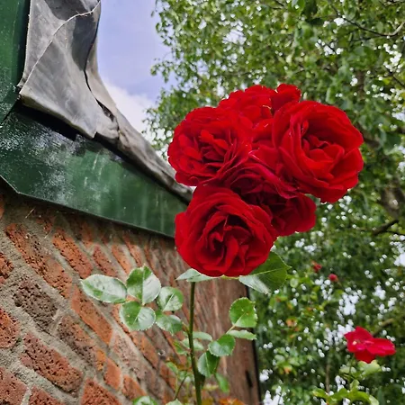 Сasa de vacaciones Rozenhofje Asselt - Roermond